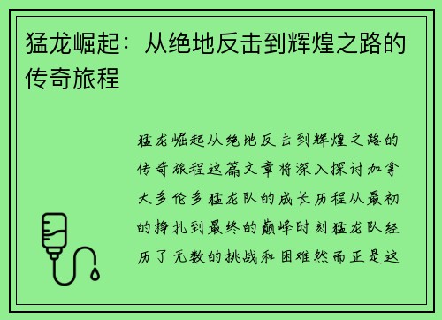 猛龙崛起：从绝地反击到辉煌之路的传奇旅程